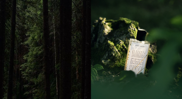 Why We Care About Trees?