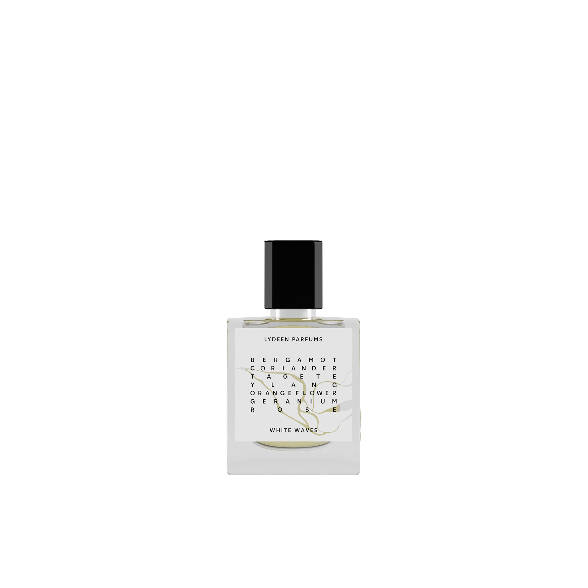 25ML_WW_Front_ISOLATED.png