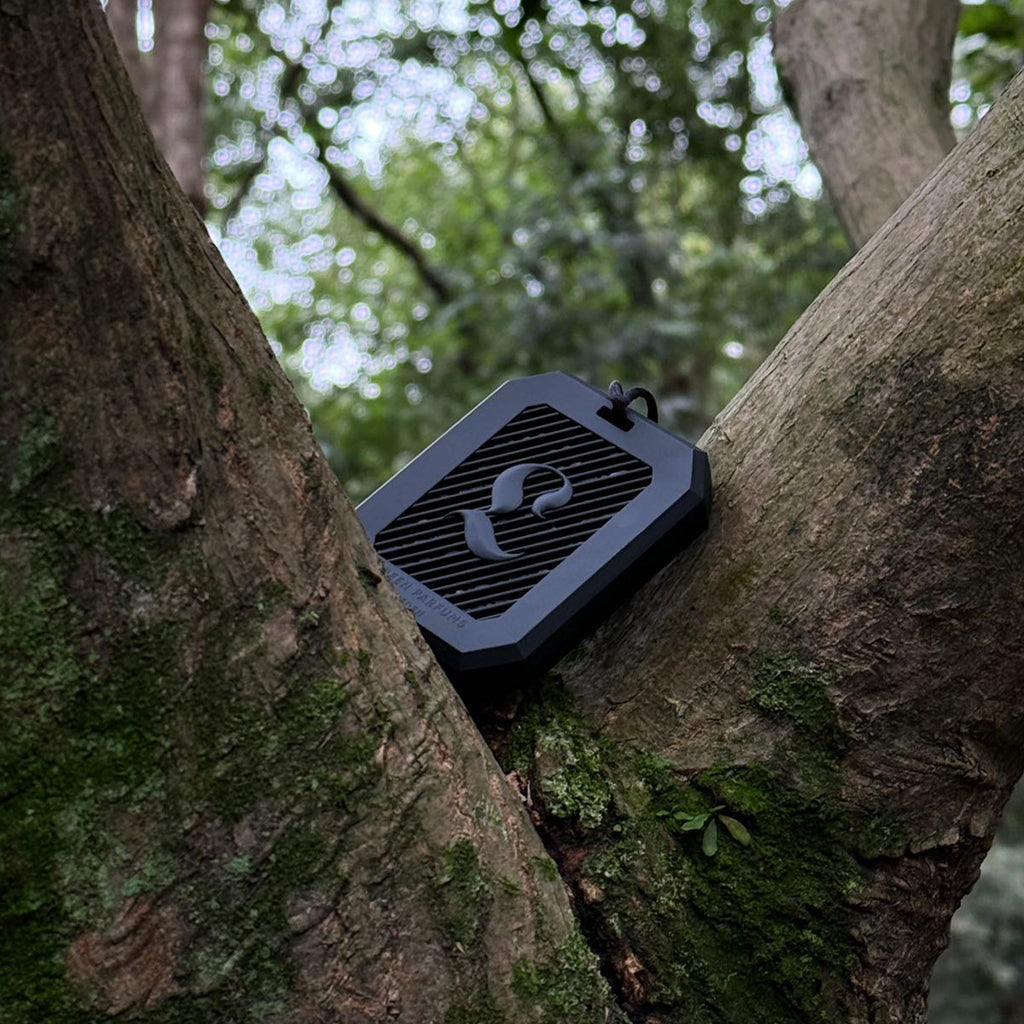 POSSESSION CAR DIFFUSER