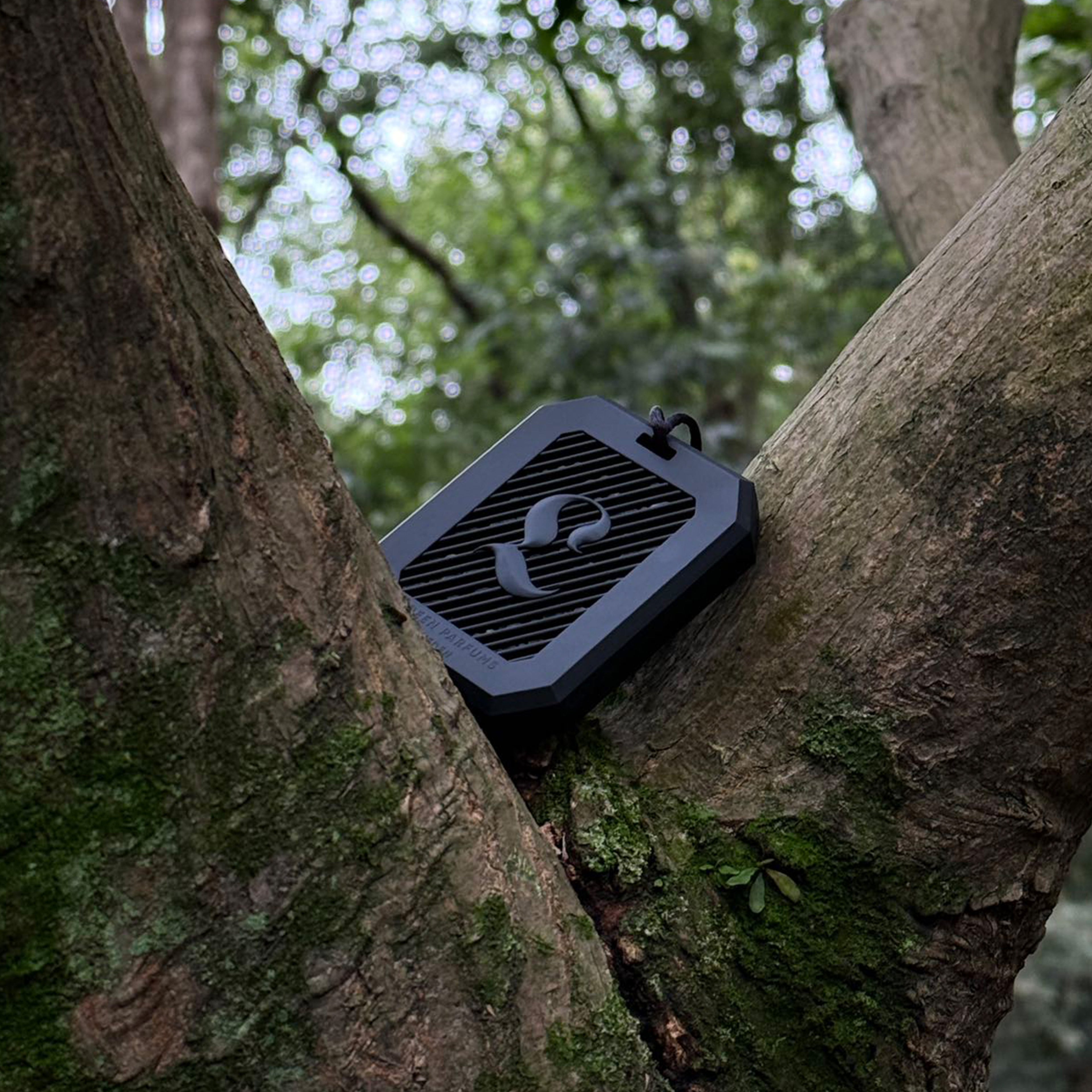 POSSESSION CAR DIFFUSER