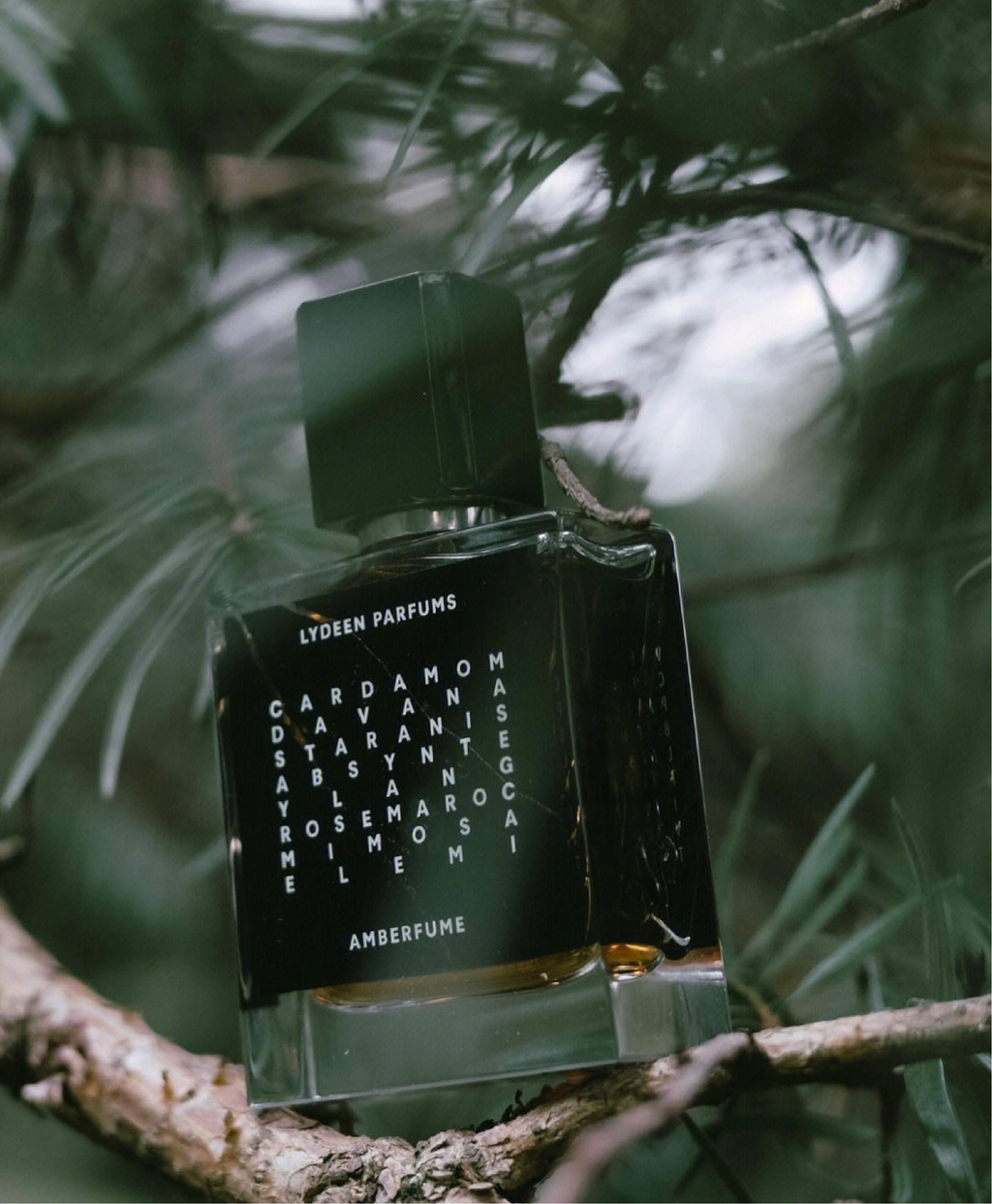 AMBERFUME
