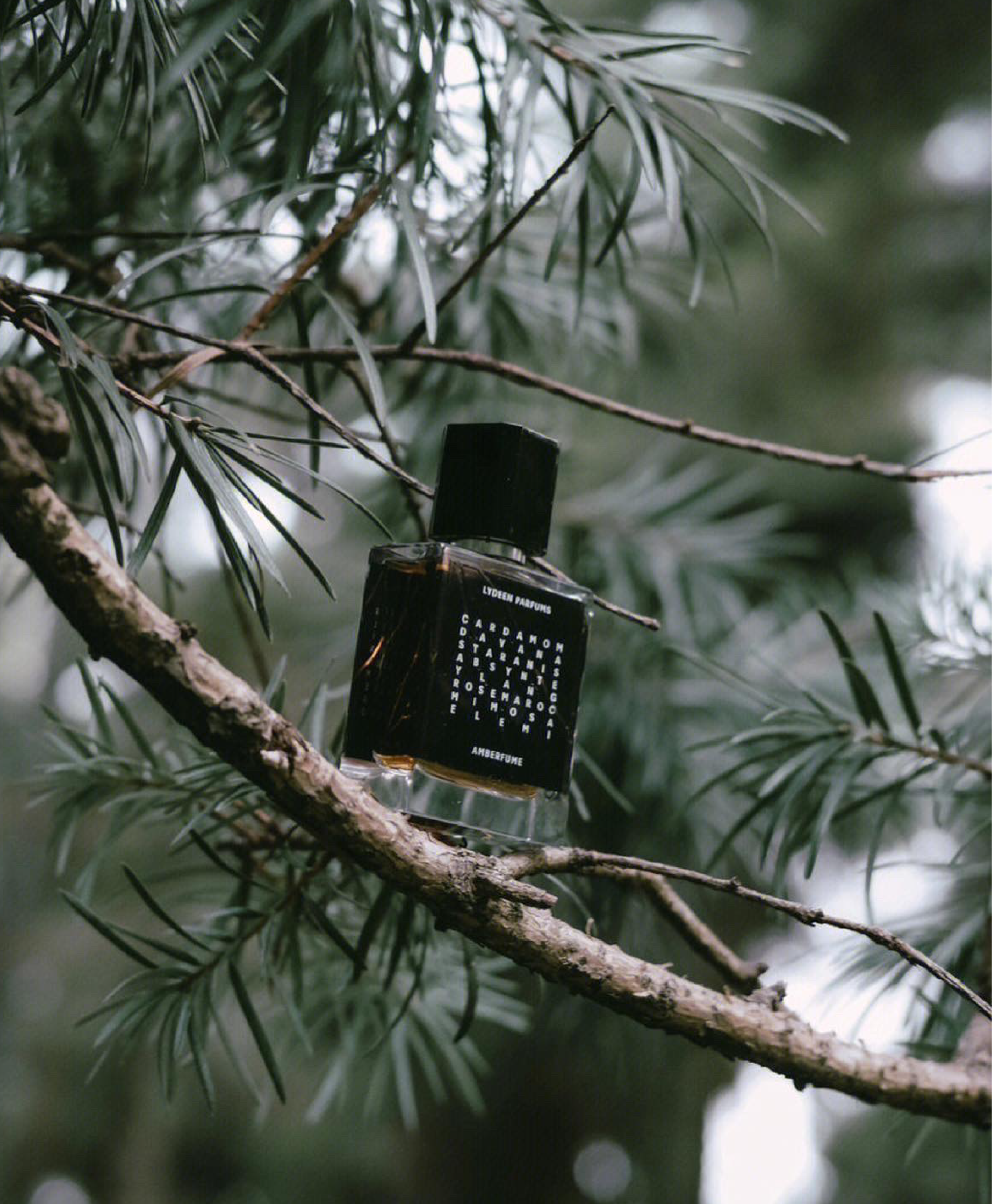 AMBERFUME