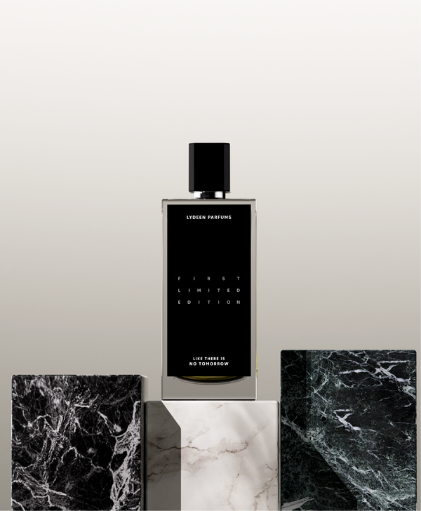 LIKE THERE IS NO TOMORROW (Limited Edition)