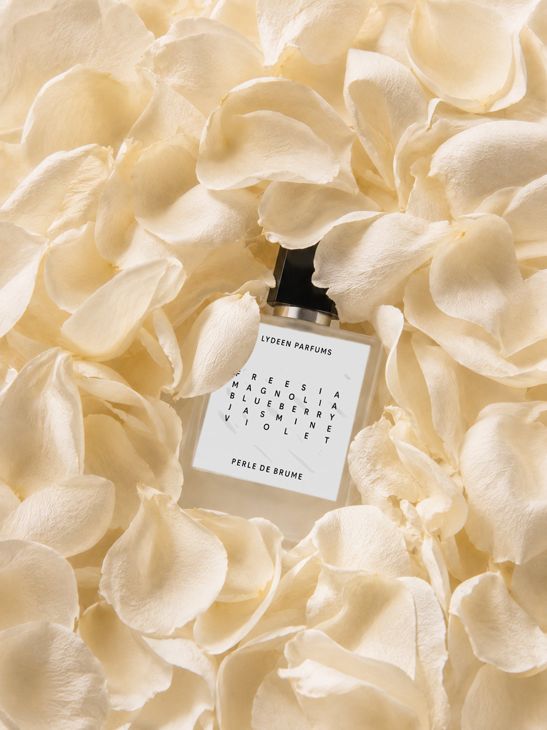 PERLE DE BRUME - EDP