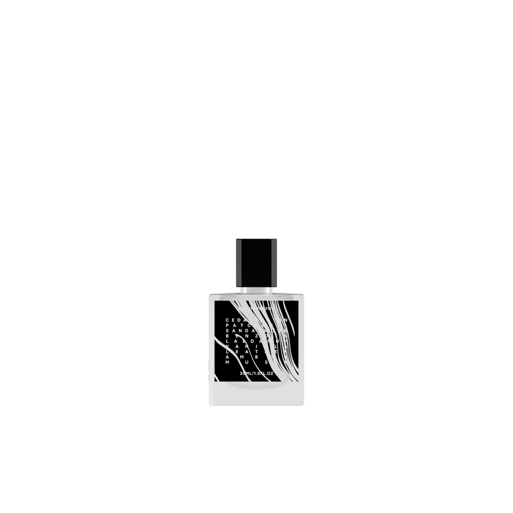 SILENT OPUS - EDP